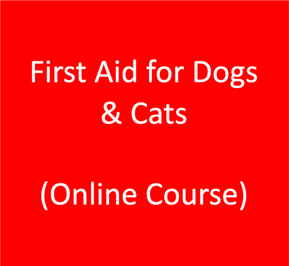 First Aid for Dogs & Cats