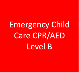 Emergency Child Care First Aid with CPR/AED Level B