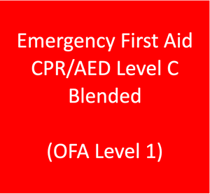 Emergency First Aid with CPR/AED Level C - Blended (OFA1 Equivalent)